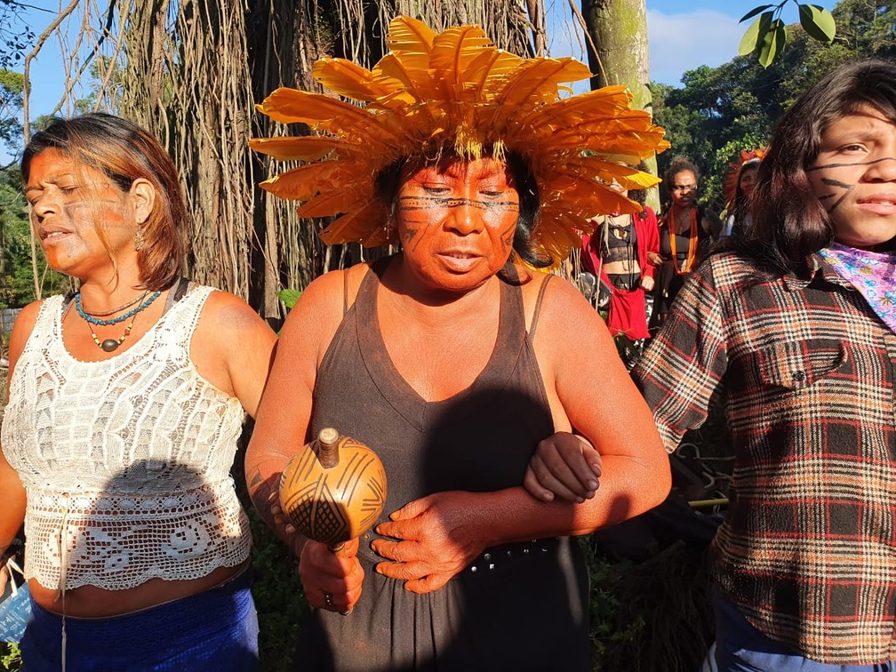 Indígenas dão os braços ao redor de árvore de terreno de construtora ocupado onde árvores foram derrubadas — Foto: Bárbara Muniz Viera/G1