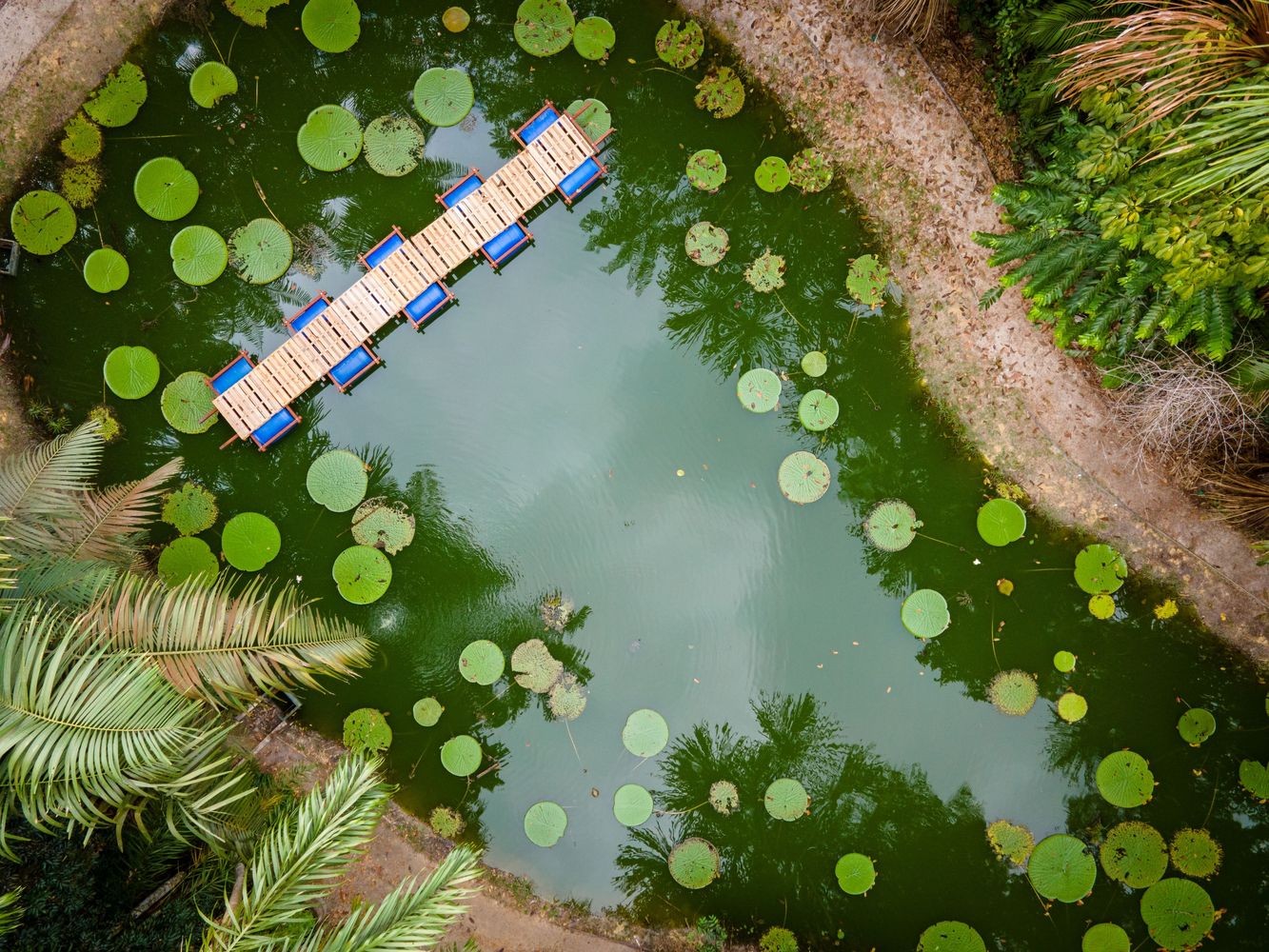 A instalação funcional contrasta com a paisagem natural e oferece aos visitantes uma reflexão sobre a necessidade de continuar pesquisando arquitetura flutuante na Amazônia para prevenir os danos causados pela cheia – que acontecem regularmente por causa das enchentes sazonais dos rios. (Foto: Brasil Arquitetura / Divulgação)