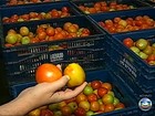 Já alto, preço do tomate pelo IPC-S sobe ainda mais nas últimas semanas