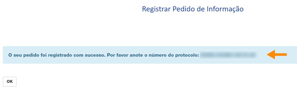 Anote o número de protocolo gerado para acompanhar seu pedido — Foto: Reprodução/Ana Letícia Loubak