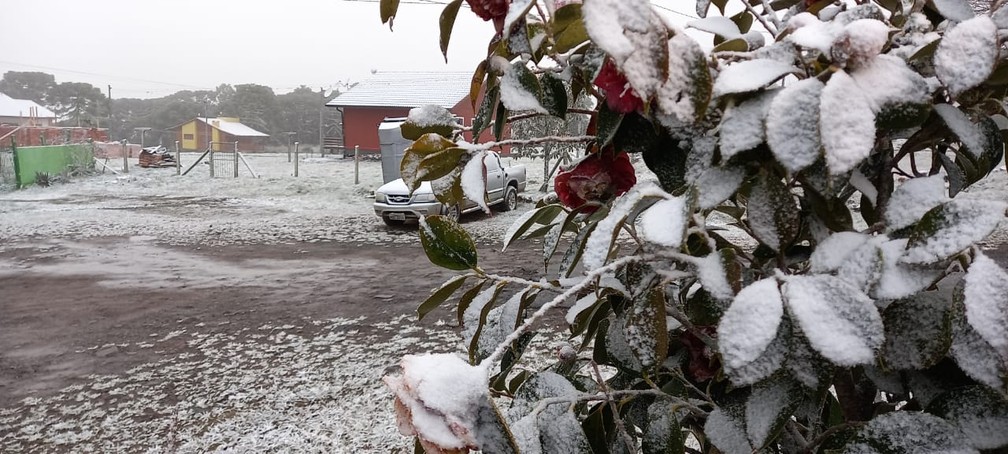 Quarta feira com frio em São Joaquim — Foto: Jean Raupp/ NSC TV