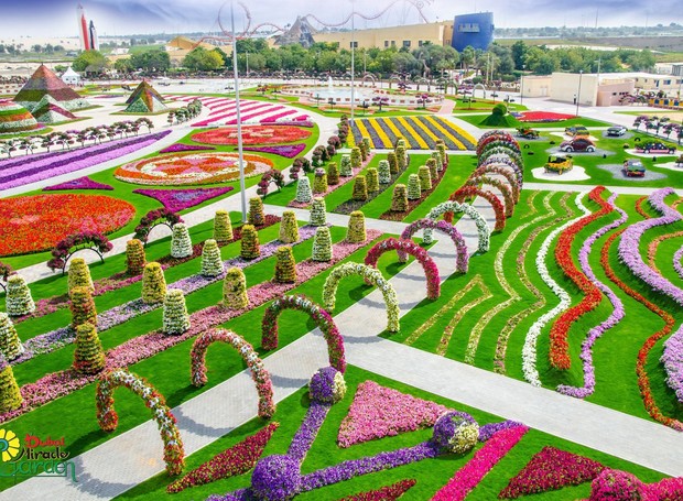 Dubai Miracle Garden (Foto: Dubai Miracle Garden / Facebook / Reprodução)