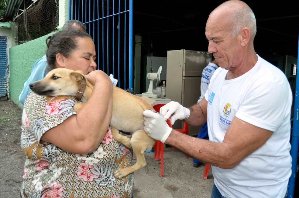 Vacinação será de porta em porta — Foto: Divulgação/Arquivo