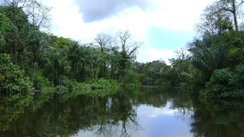 Um dos acessos à Reserva do Rio Iratapuru, no Amapá, parte da Renca (Foto: WWF-Brasil / Luiz Coltro)
