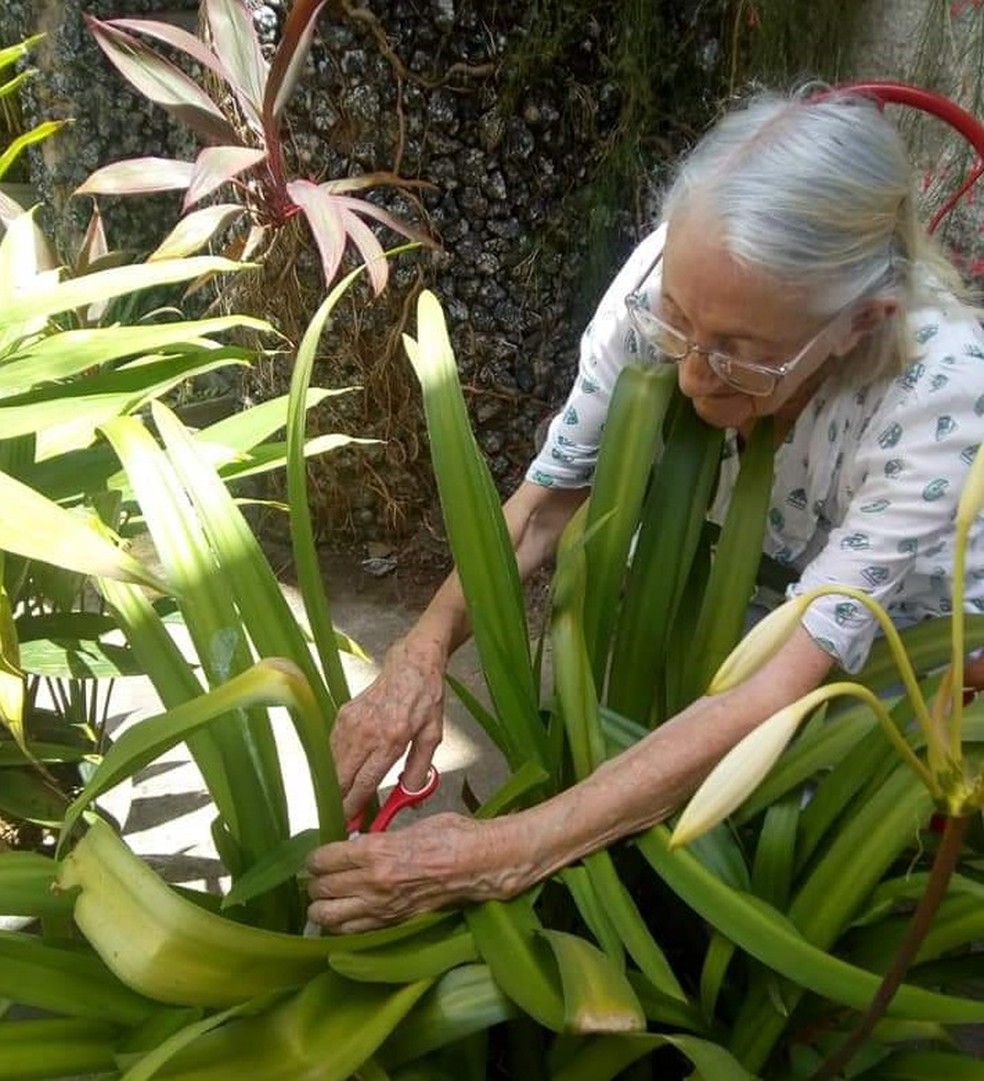 Aos 95 anos, Dona Maria Nunes fazia questão de cuidar das plantas no quintal de casa — Foto: Arquivo pessoal