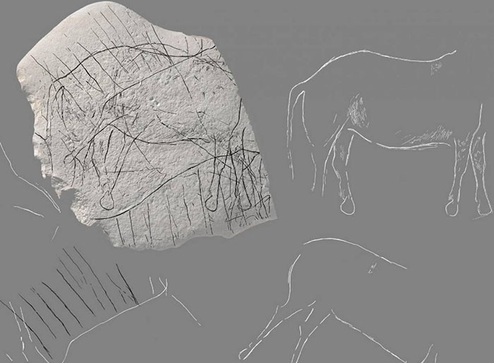 Pedra encontrada pelos arqueólogos tem desenho de cavalo (Foto: INRAP)