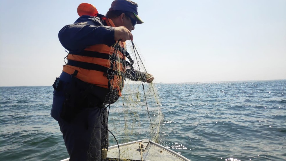 Redes de pesca foram apreendidas em Panorama — Foto: Polícia Ambiental