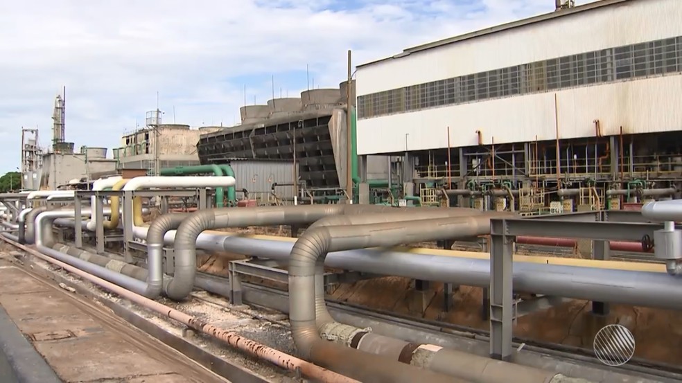 Petrobras anuncia fechamento de fábrica de fertilizantes no Polo Petroquímico de Camaçari (Foto: Reprodução/TV Bahia)