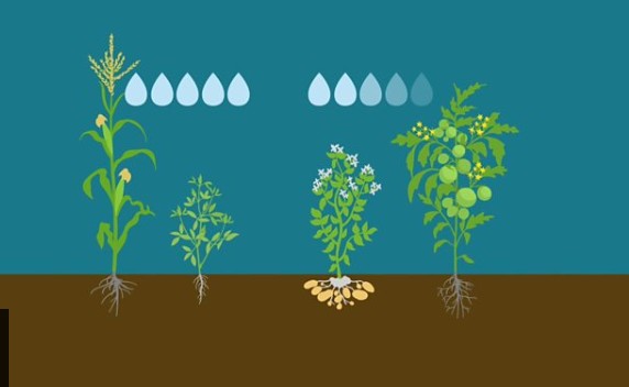Soluções para escassez de água (Foto: Reprodução/BBC)