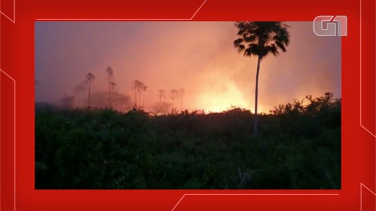 Fogo no Pantanal é 'em proporções nunca registradas', isola quem está lá e orientação é evitar rodovia à noite 