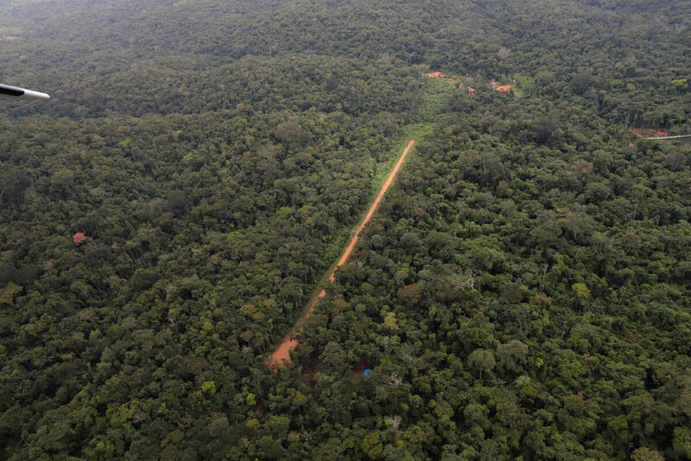 Foto mostra garimpeiros abrindo estrada no Pará no meio da floresta amazônica para levar maquinário para os garimpos. — Foto: Chico Batata/Greenpeace
