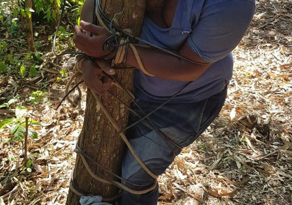 Motorista por aplicativo é sequestrado e encontrado amarrado em árvore, em região de mata em Salvador — Foto: Divulgação/Polícia Militar da Bahia