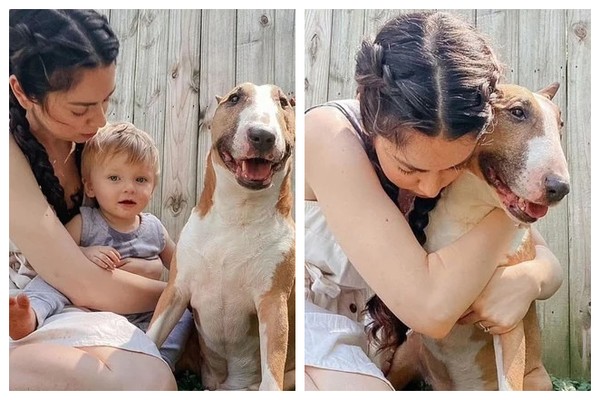 A youtuber Nikki Phillippi com o filho e o cachorro que foi sacrificado (Foto: Instagram)