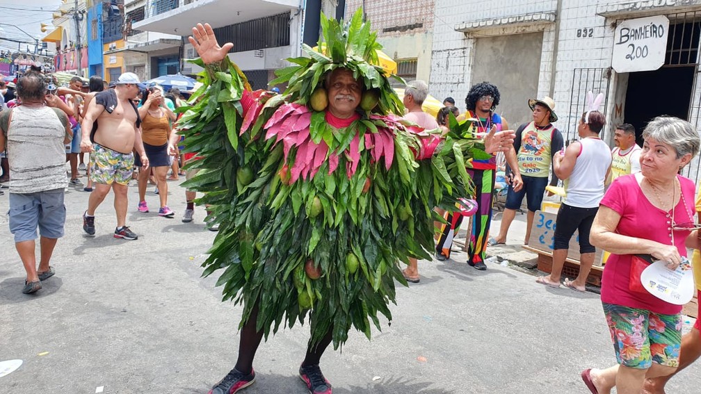 Mangueira ecológica foi uma das fantasias criativas no desfile do Galo  — Foto: Marlon Costa/Pernambuco Press