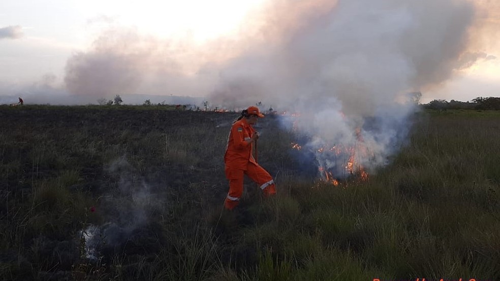 Operação monitora focos de calor e de incêndio no Amapá — Foto: CBM/Divulgação
