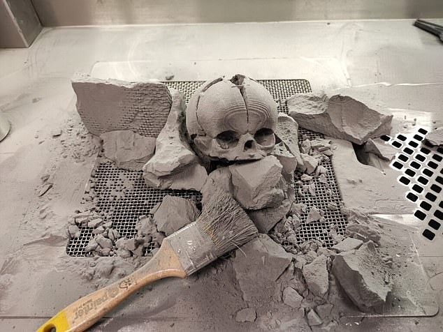 Crânio de bebê feito por impressora 3D (Foto: Reprodução/Daily Mail)