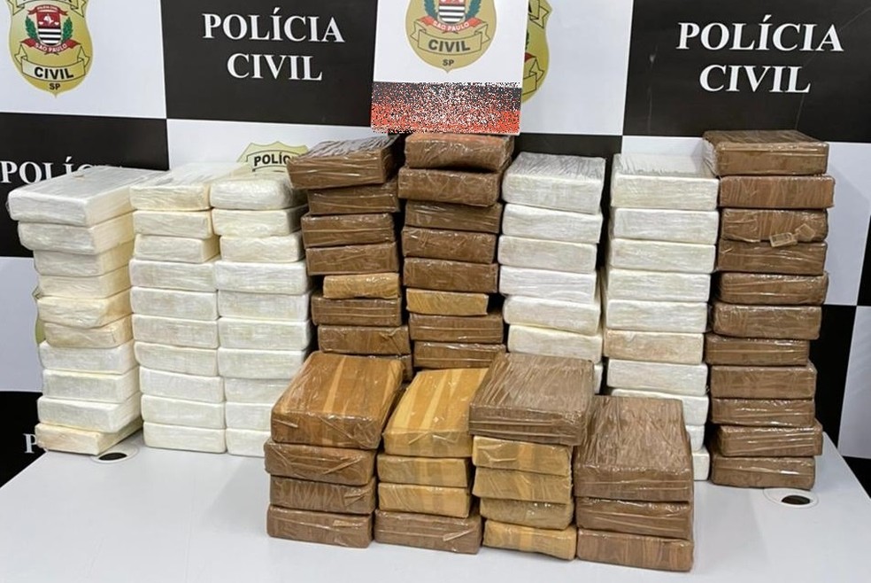 Polícia Civil apreendeu 100 tabletes de cocaína em caminhão abordado em Paulicéia — Foto: Polícia Civil