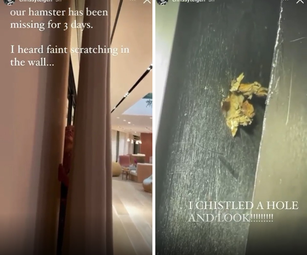 Após verificar a parede onde estava a sua hamster, Chrissy Teigen abriu um buraco para que a roedora pudesse sair (Foto: Reprodução / Instagram)