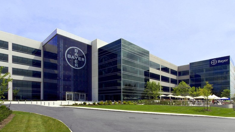 Bayer abriu vagas de trabalho exclusivas para negros; salários mais de R$ 6 mil