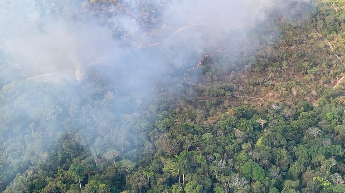 Chuva apaga incêndio na Apa Alter do Chão; imagens de satélite mostram  evolução das chamas, Santarém e Região