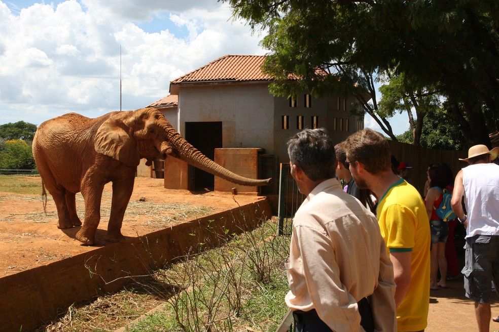 Zoológico de Brasília — Foto: Toninho Tavares/Agência Brasilia