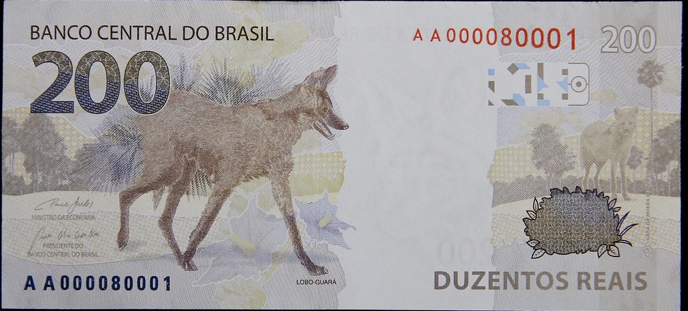 Verso da nota de R$ 200,00 com a imagem do lobo-guará — Foto: Raphael Ribeiro/BCB