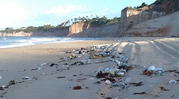 Toneladas de lixo aparecem em praias do RN (Foto: IDEMA - RN / ASSECOM - RN)