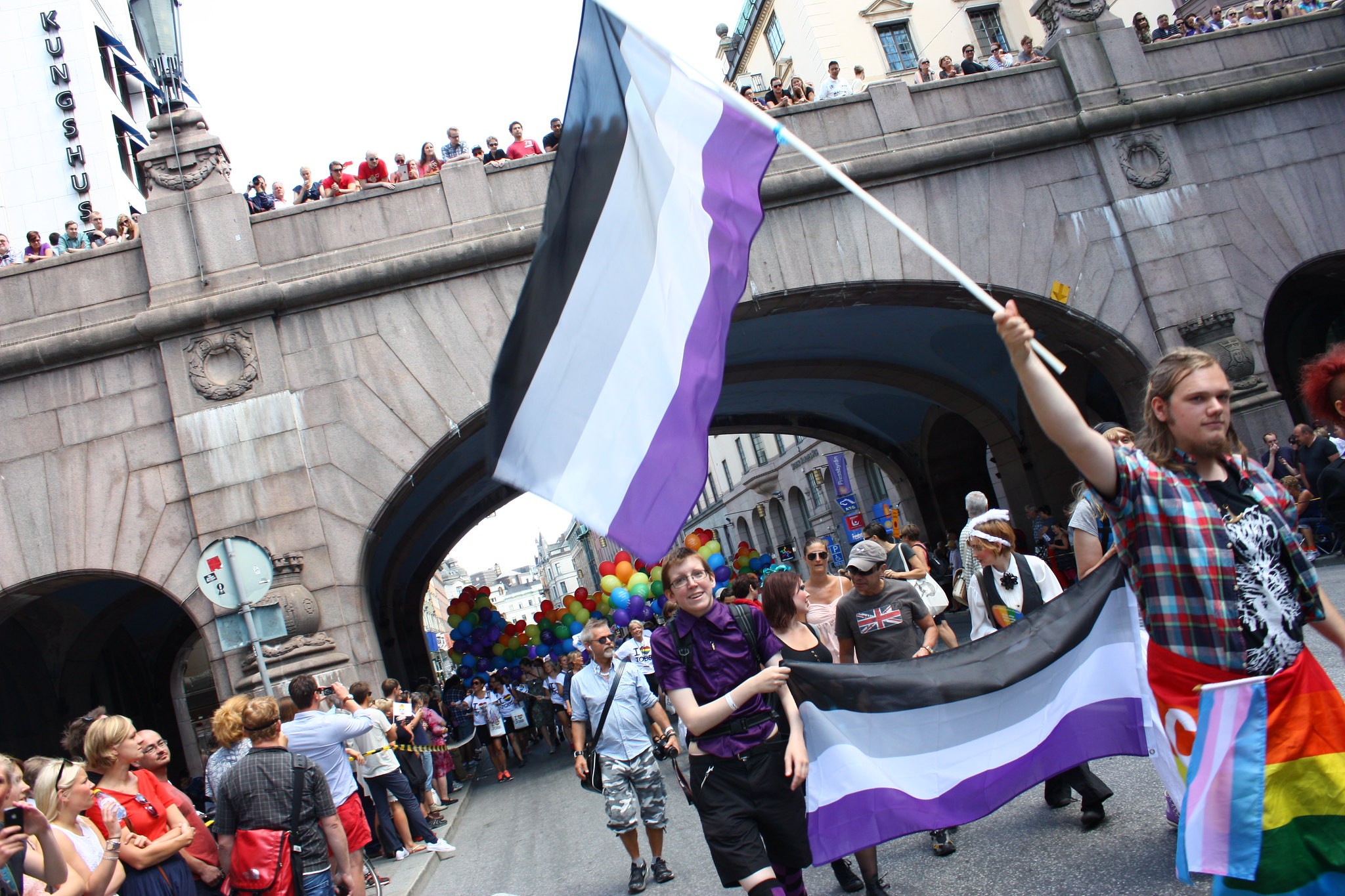 Assexuais desfilam na Parada do Orgulho LGBTQIA+ de Estocolmo (Foto: trollhare/Flickr)