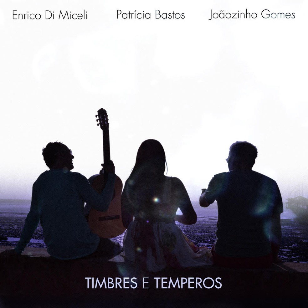 Capa do álbum 'Timbres e temperos', de Enrico Di Miceli, Patrícia Bastos e Joãozinho Gomes — Foto: Divulgação