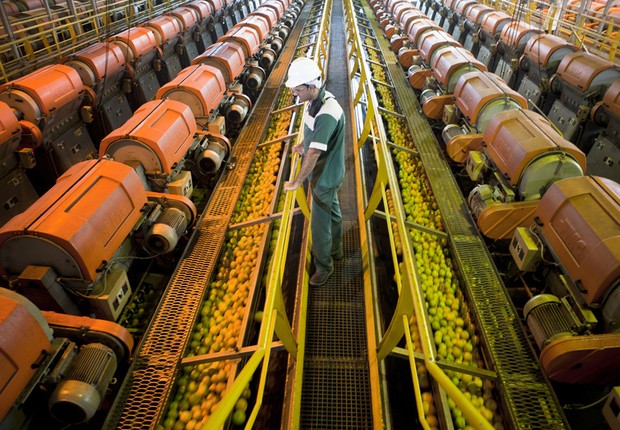 Linha de produção de suco de laranja da Citrosuco (Foto: Divulgação)