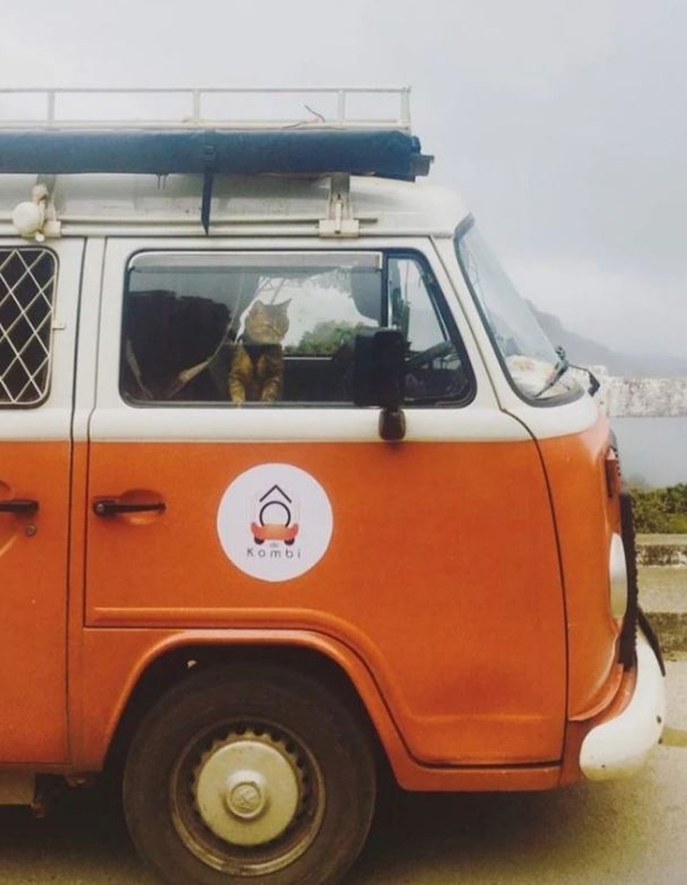 Gata Lince durante viagem de Kombi com Dennis Cosmo Marin — Foto: Reprodução/Instagram 