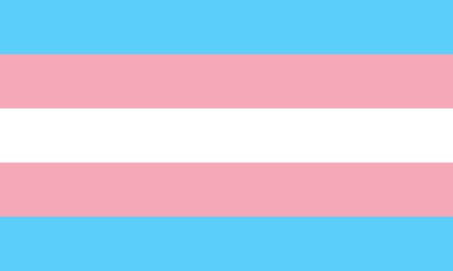 Bandeira do orgulho trans representa pessoas transexuais e travestis  (Foto: Monica Helms)