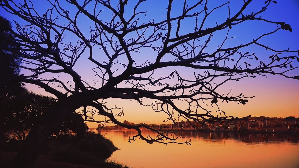 Aniversario De Brasilia Conheca Mais Um Poema Na Serie De Homenagens Aos 60 Anos Da Capital Brasilia 60 Anos G1
