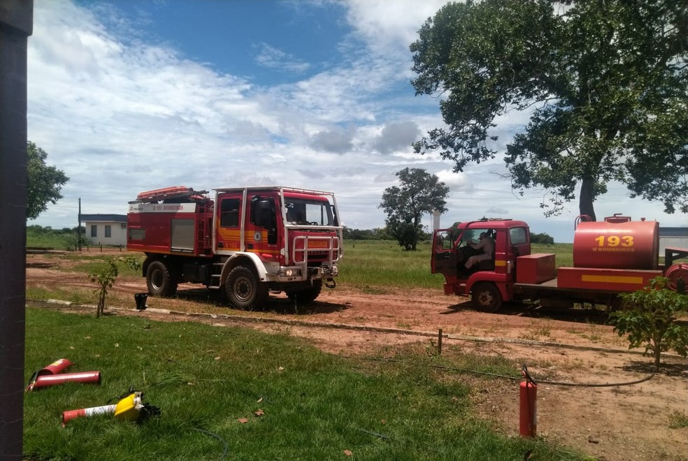 Fogo afetou o laborat&oacute;rio de sementes da Unitins &mdash; Foto: Divulga&ccedil;&atilde;o/Corpo de Bombeiros