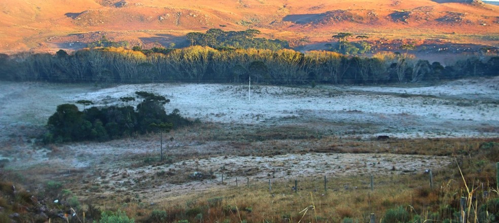 Manhã de segunda-feira em São Joaquim — Foto: Mycchel Legnaghi/ São Joaquim Online