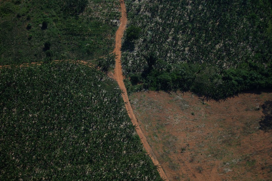 Vista aérea de região desmatada da Amazônia em Rondônia. Acordo entre empresas coloca 2023 como limite para frear desmatamento na região