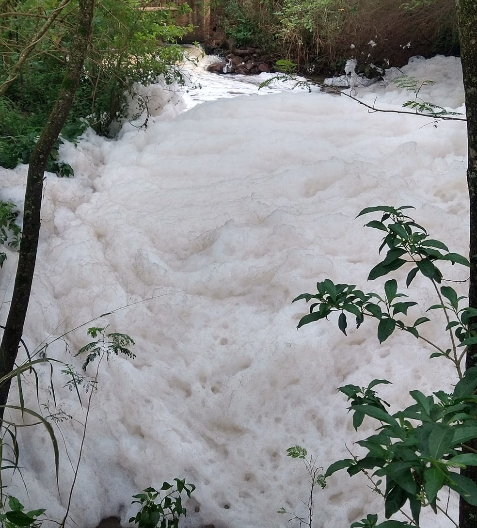 Espuma no Ribeirão Cachoeira, em Piracicaba — Foto: Divulgação/ Guarda Civil Municipal de Piracicaba