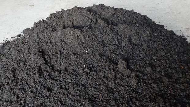 Óleo despejado no litoral do Nordeste pode virar carvão e cimento (Foto: Divulgação)