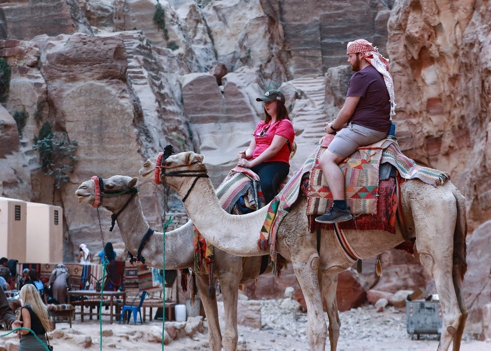 Camelos, cavalos e mulas estavam trabalhando excessivamente — Foto: KHALIL MAZRAAWI / AFP