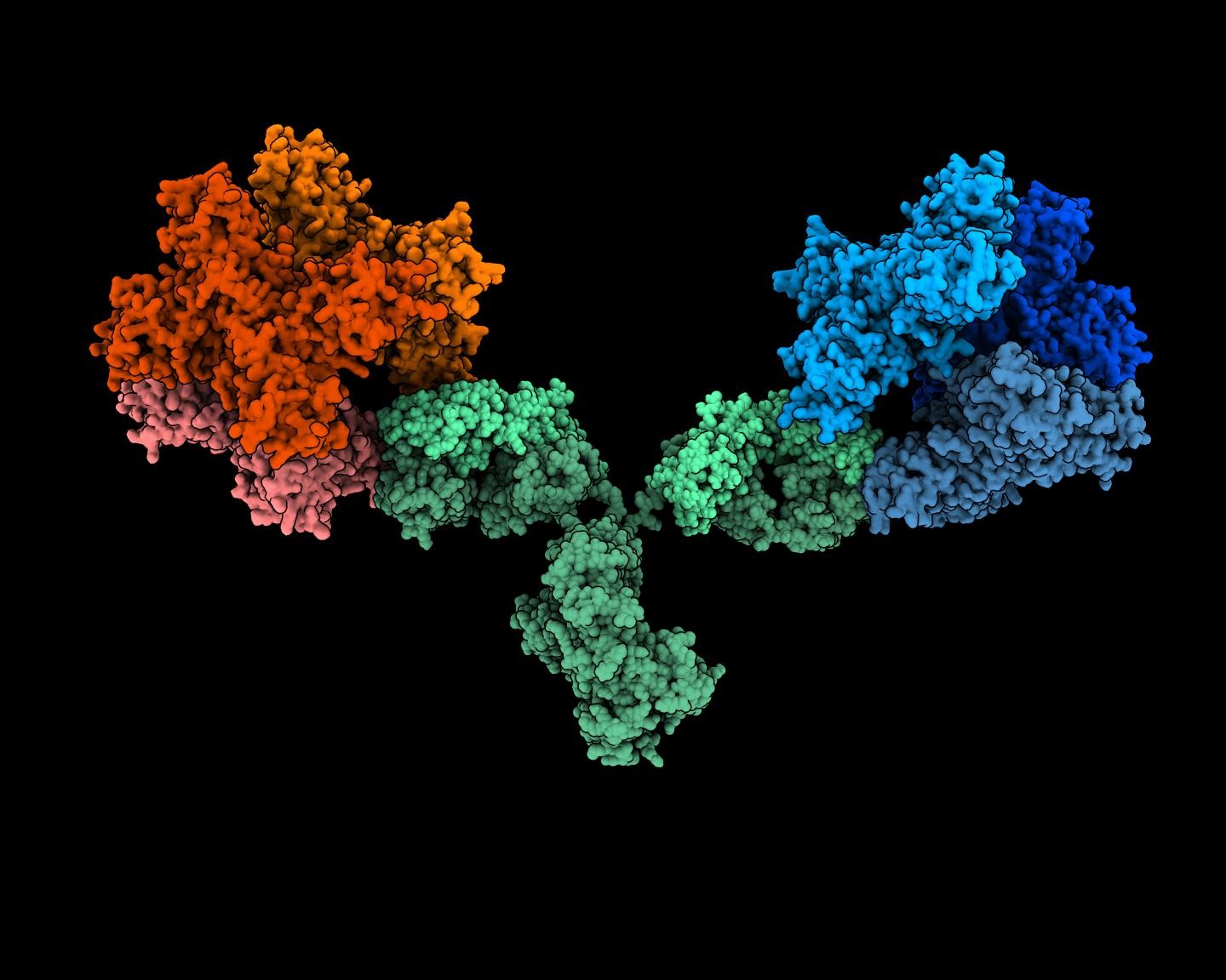 A imagem mostra o anticorpo verde ligado às proteínas NS1 do zika (vermelho) e da dengue (azul) (Foto: Daniel Watterson)