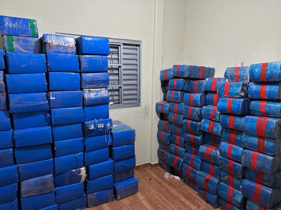 Droga apreendida em Mundo Novo &mdash; Foto: Divulga&ccedil;&atilde;o 