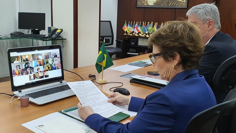 ministra-videoconferencia-g20 (Foto: Divulgação/Mapa)