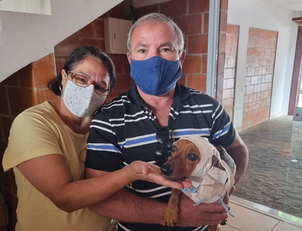 Após 50 dias, Menino reencontra casal que o resgatou em Tatuí — Foto: UIPA/Divulgação