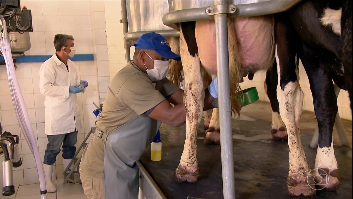 Produtores de leite de MG adotam medidas para conter disseminação do coronavírus entre os trabalhadores do campo thumbnail
