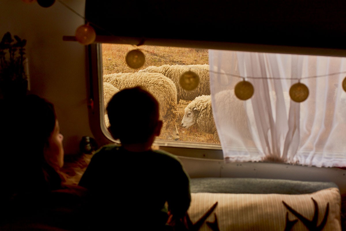 Lifestyle - Uma vida sobre rodas - Benjamim vendo as ovelhas da estância Leona Amarga pela janela (Foto: Gustavo Zylbersztajn)