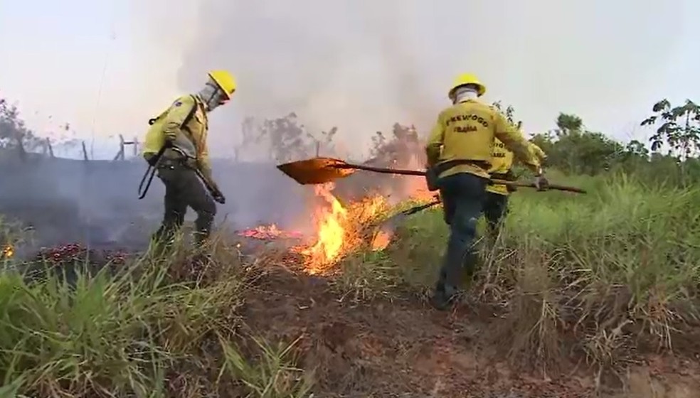 No Acre, 31 brigadistas devem ser contratados para as aÃ§Ãµes de combate a incÃªndios florestais  (Foto: ReproduÃ§Ã£o/Rede AmazÃ´nica Acre)