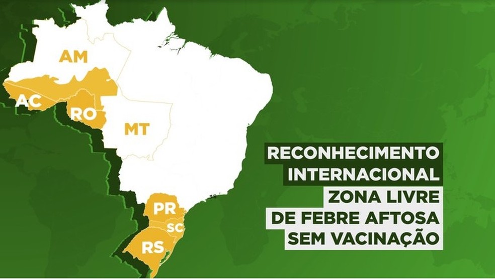 Estados com reconhecimento de zona livre de febre aftosa sem vacinação — Foto: Reprodução/Mapa