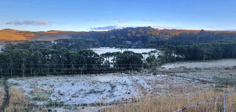 São Joaquim (SC): Caminhos da Neve amanheceu com os campos cobertos pela geada nesta segunda-feira (24) — Foto: Mycchel Legnaghi / São Joaquim Online