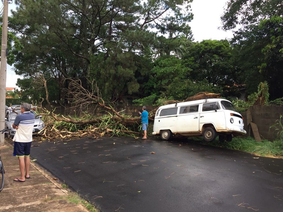 Kombi ficou com as rodas dianteiras levantadas com o peso do tronco na traseira do veículo — Foto: Arquivo Pessoal