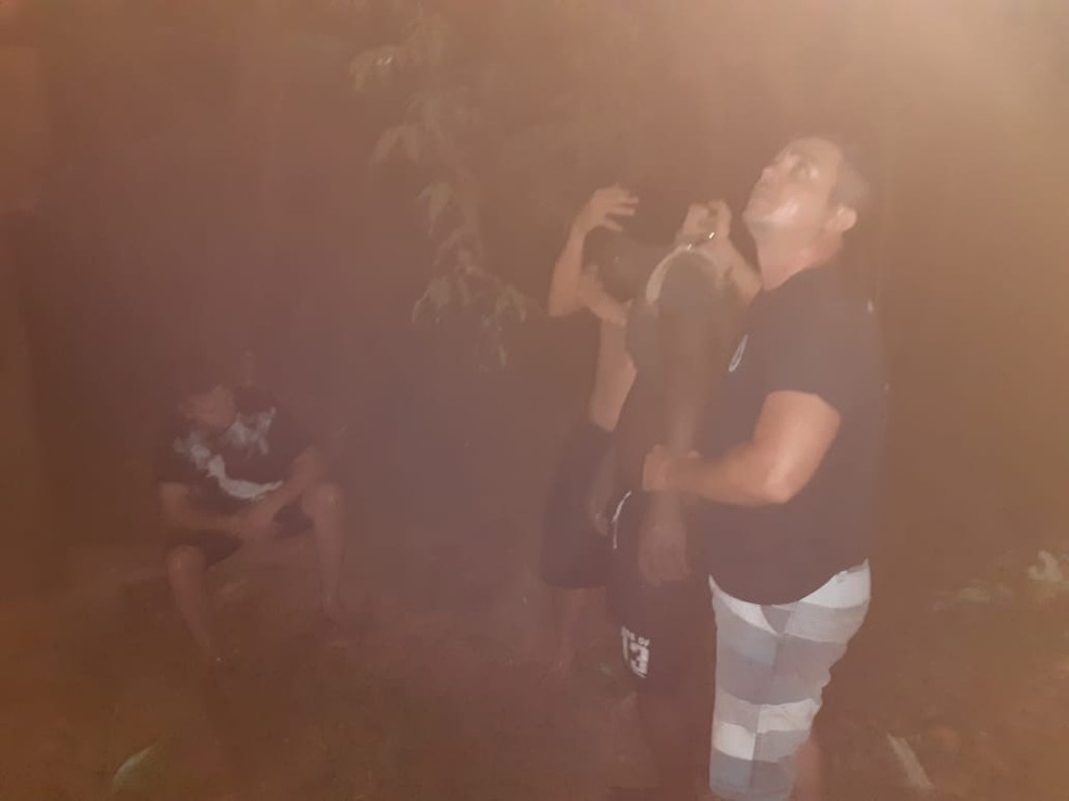 O carro com os três ocupantes, homens com idades entre 30 a 40 anos, havia despencado de uma altura de 4 metros da ponte — Foto: 2º sargento Alcides/Corpo de Bombeiros de Mato Grosso